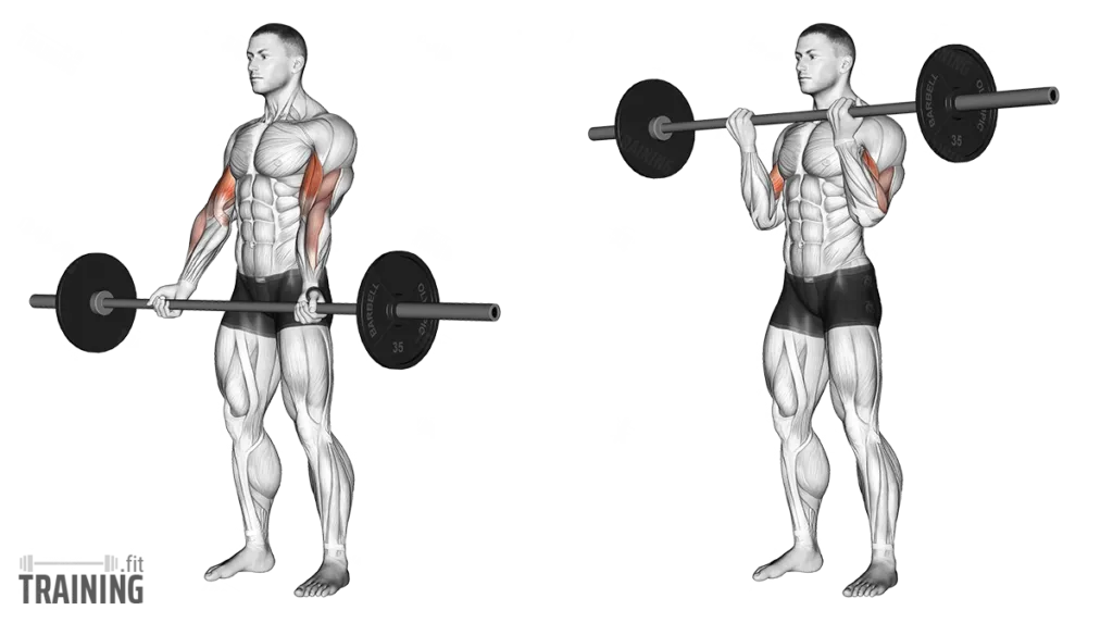 Barbell curl form