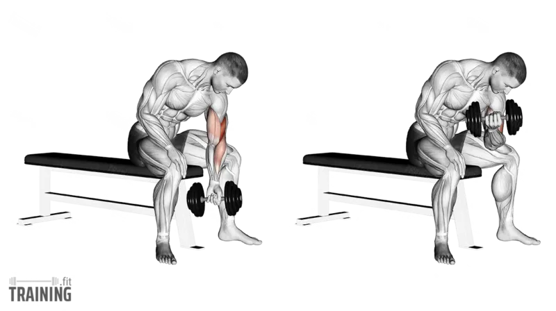 Concentration curl form