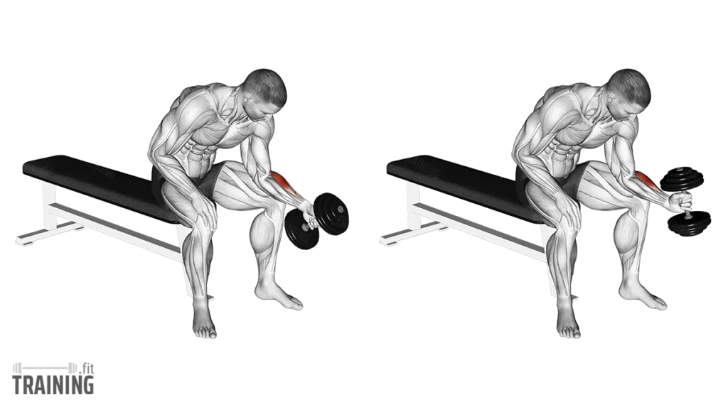 Hammer grip wrist curl form