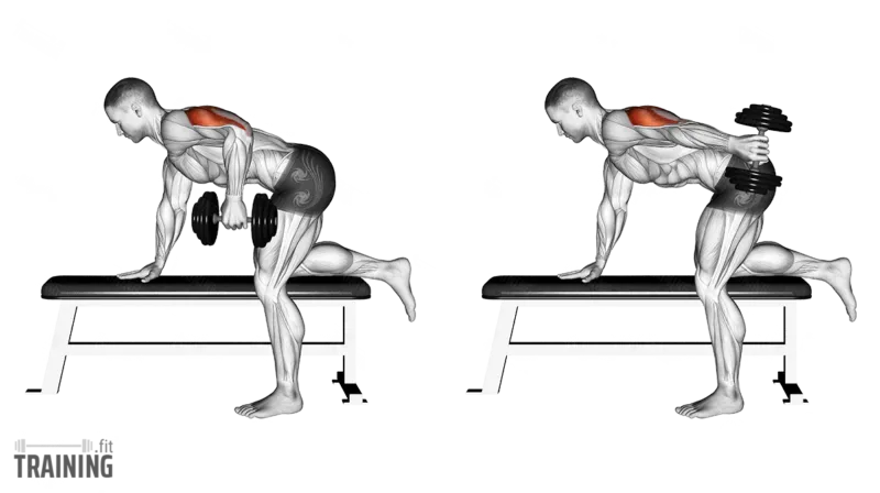 Dumbbell kickback form