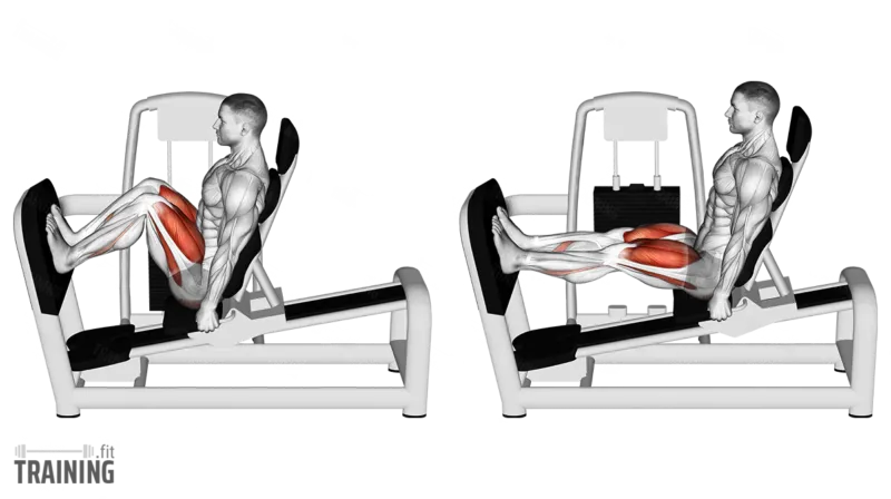 Leg press form