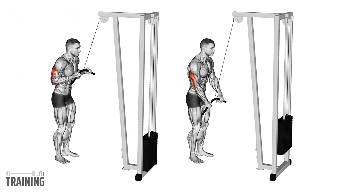 Triceps pushdown form
