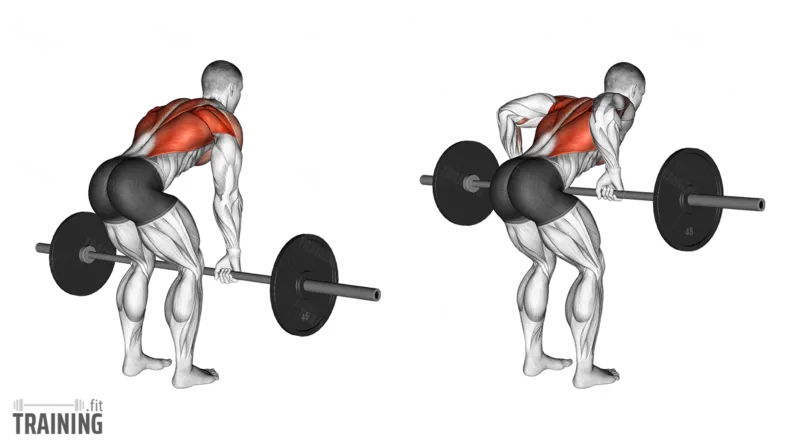 Barbell row form