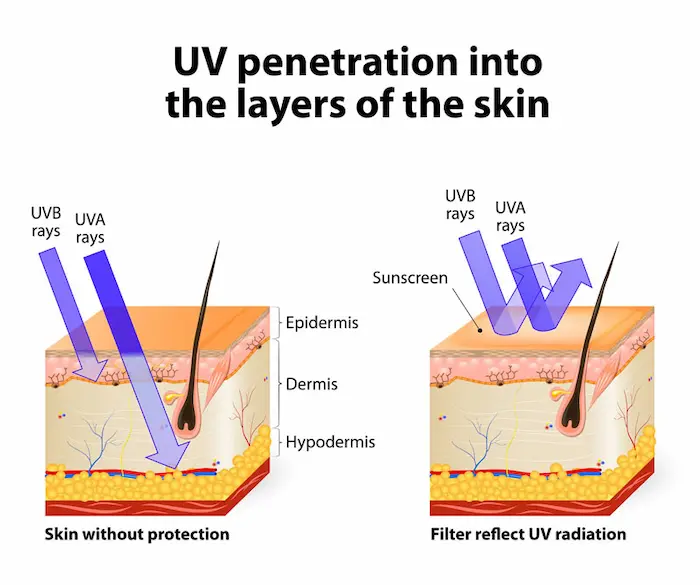 UV protection for scalp and hair