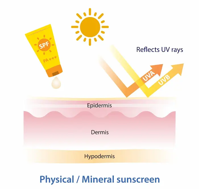 SPF sunscreen diagram
