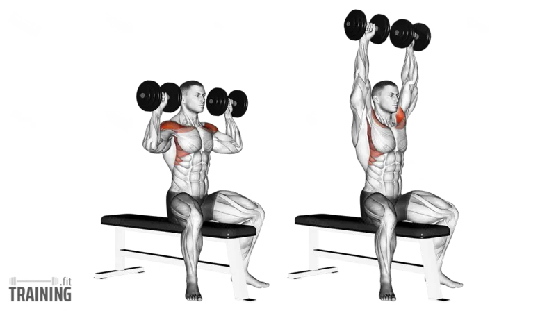 Seated dumbbell shoulder press