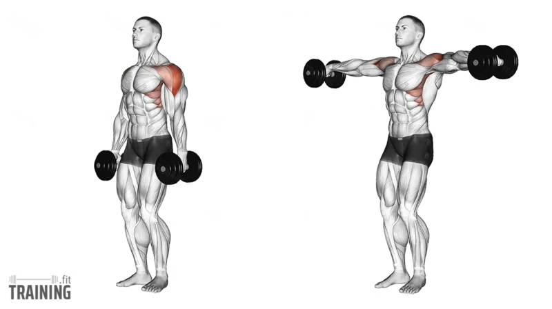 Dumbbell lateral raise