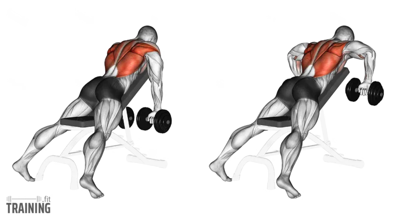 Chest-supported rear delt row