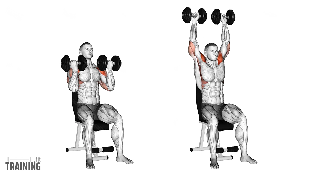 Back-supported seated shoulder press