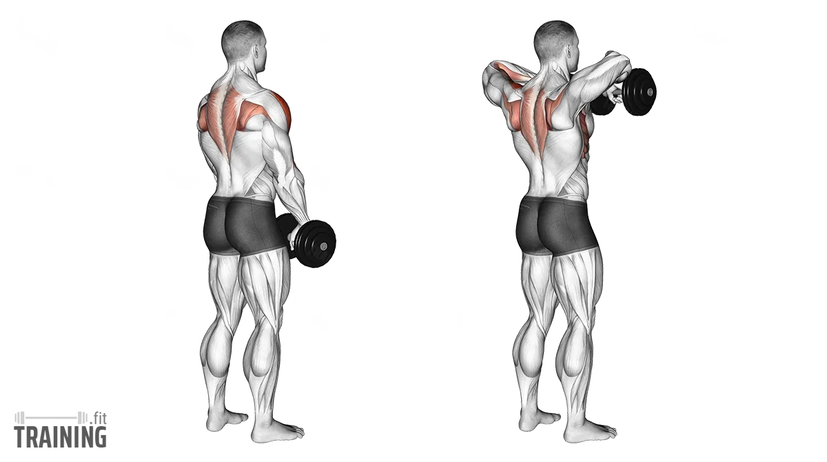 Dumbbell upright row